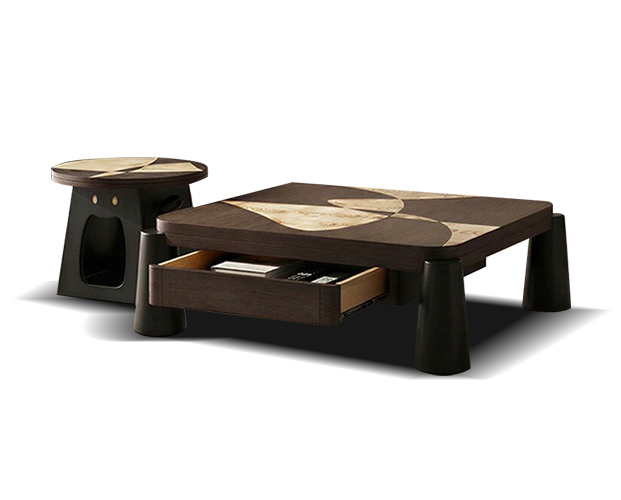 JUJYYC791 Drawer Coffee Table Combination